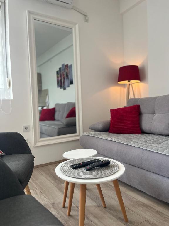 R Lux Apartman Jagodina Akva Park - 4