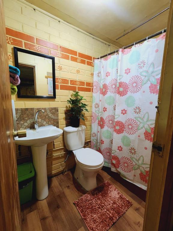 Hermosa y cómoda casa completamente amoblada Puerto Montt - 4