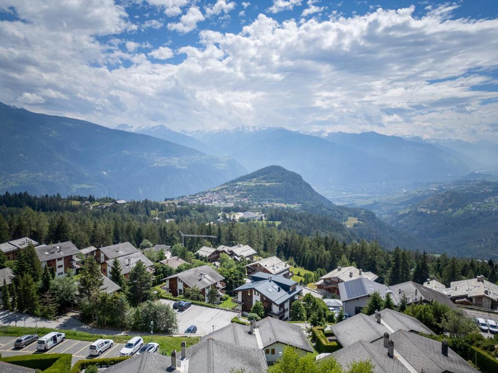Cabane de la Delege -Crans Montana- Amazing Views - 2