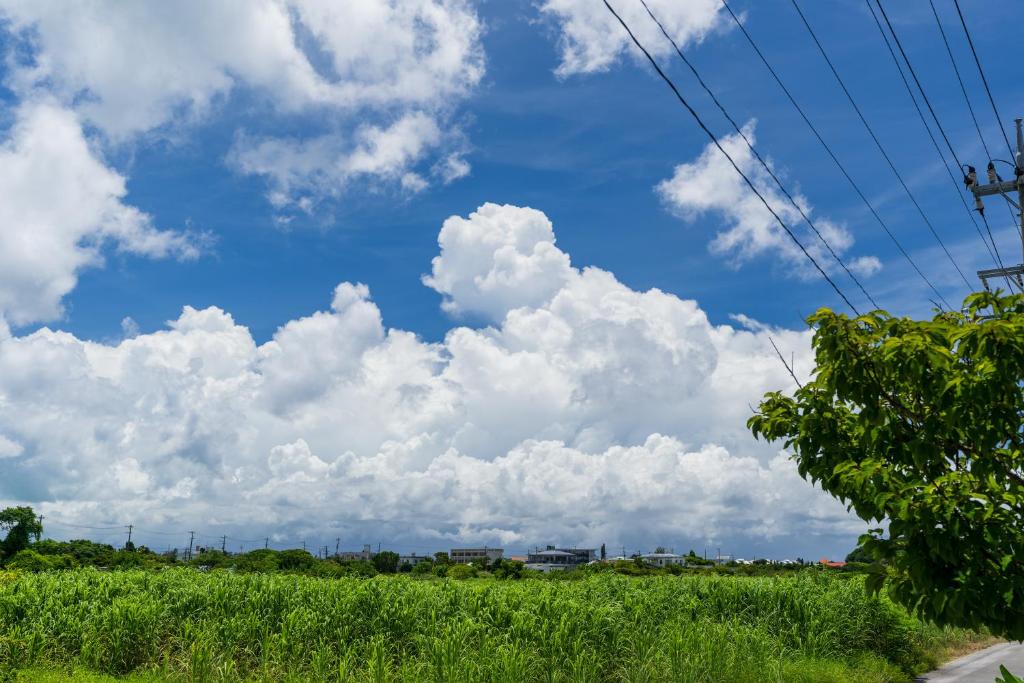 Surrounding environment