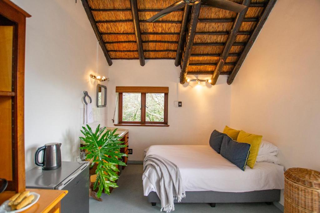 Mountain View and Vineyard View, Suider-Paarl