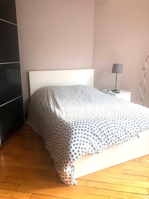 Appartement lumineux et spacieux à Paris Montparnasse - 4