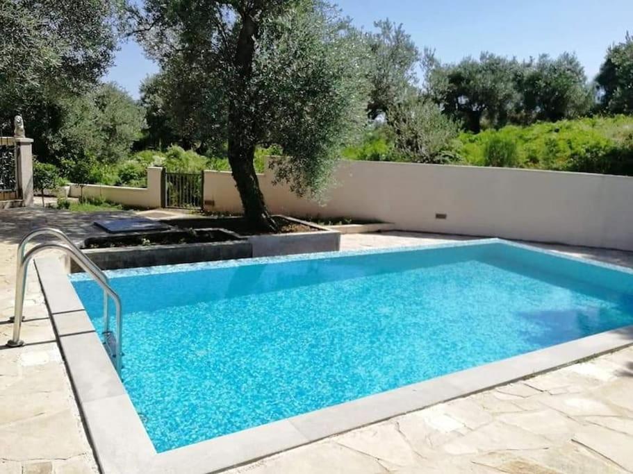 Zen Olive Retreat - 1