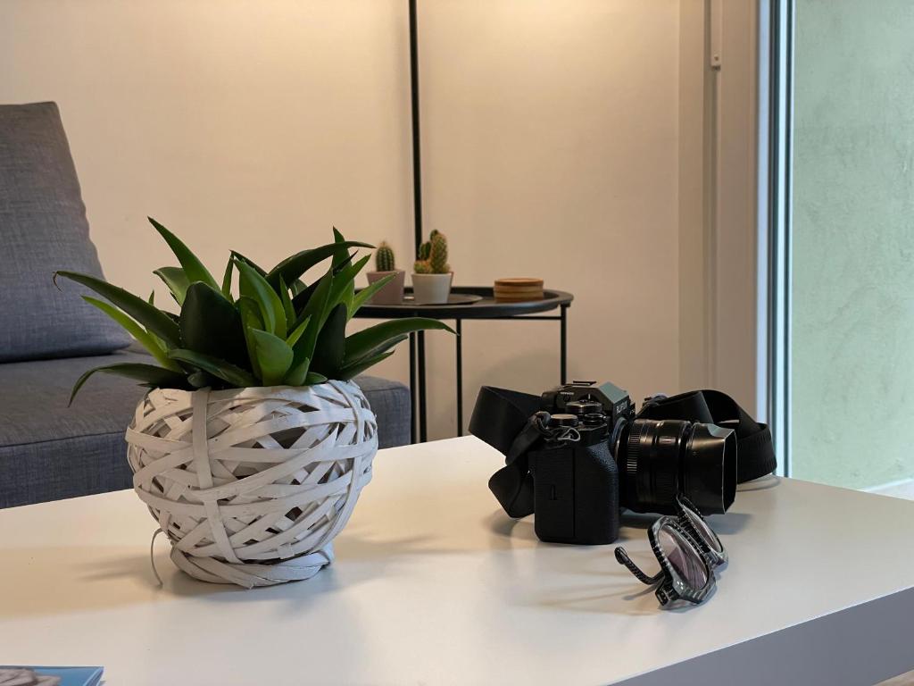 Premium Apartments Almeria Centro - 5