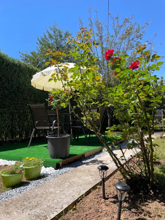 Cherry Garden Villa - 1