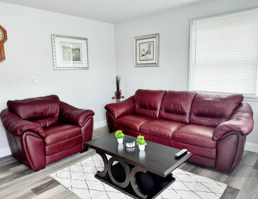 Midtown Oasis, Anchorage