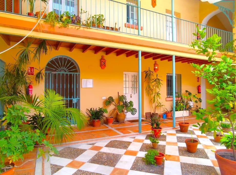 Santo Rey Suite, Sevilla