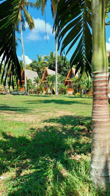 Surrounding environment