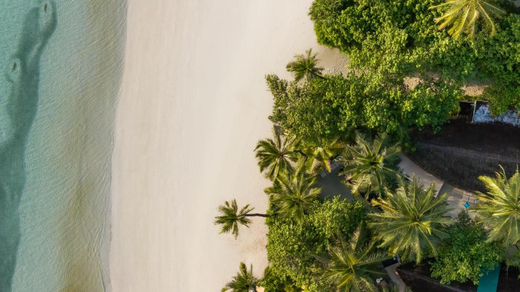 Surrounding environment