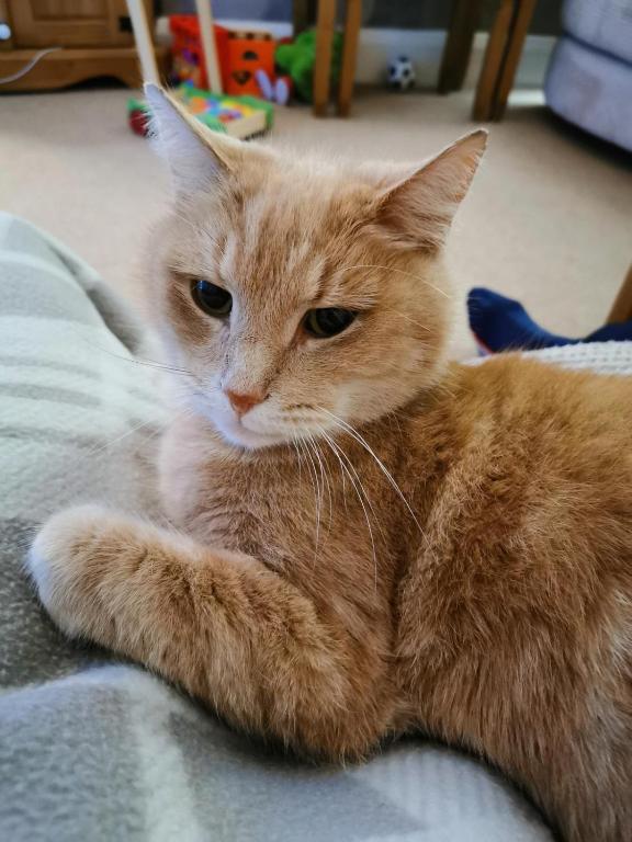 Jessica placde, Birstall