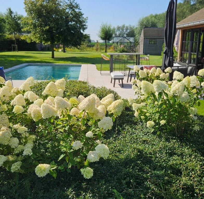 WanT Logies: Ruime loft, Damme