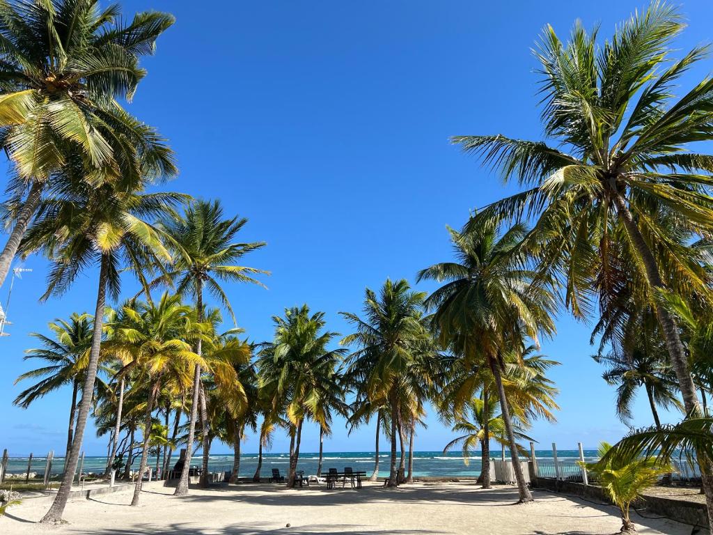 Mio Plage, Sainte-Anne