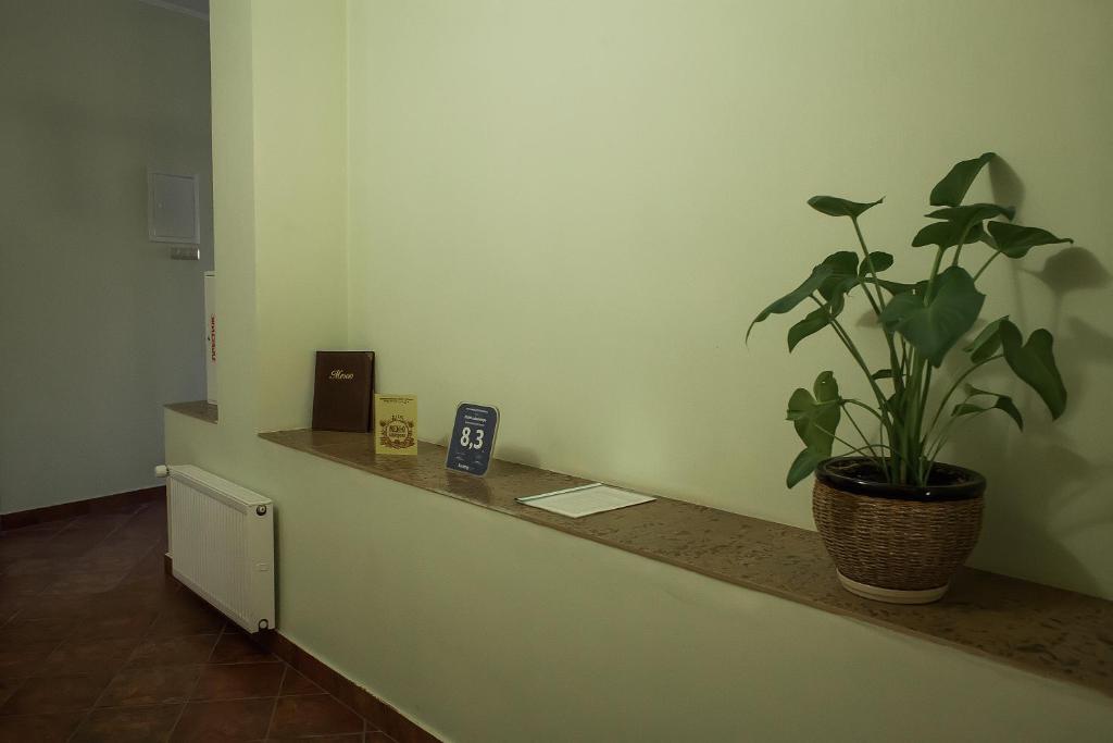 Hotel Lukomorye photo