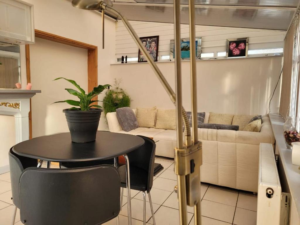 Abakwa Red, Homestays Kingsthorpe