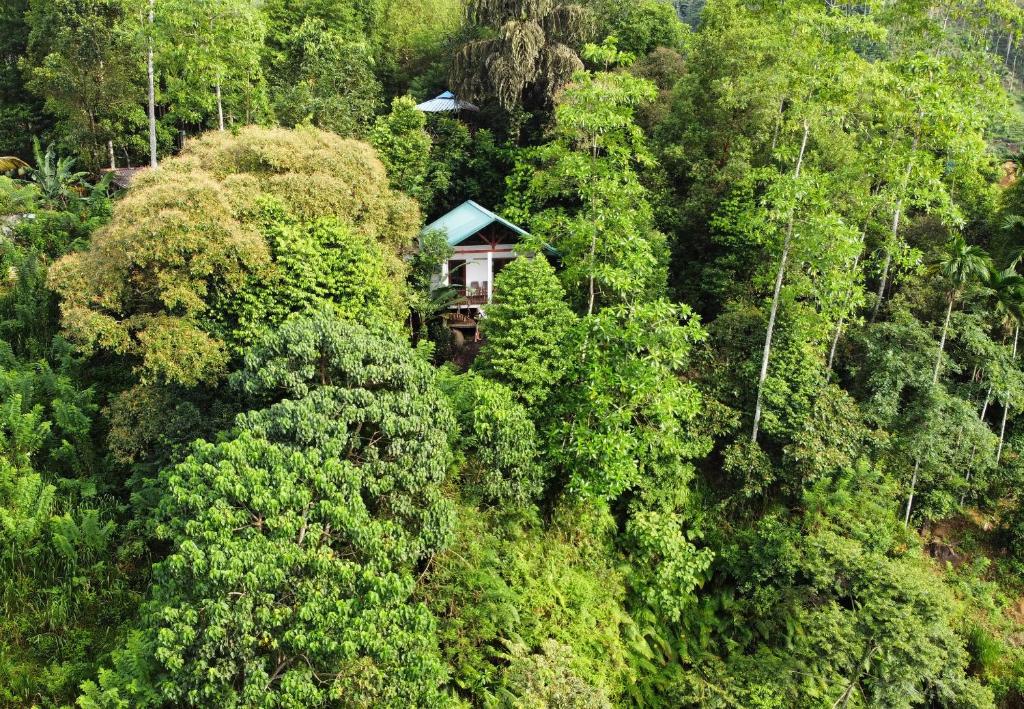 Sinharaja Rest, Deniyaya