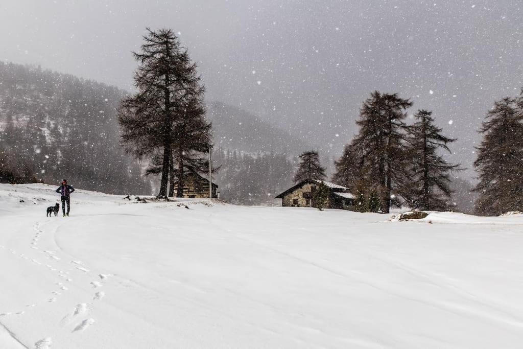 Centro di Aosta - Bilocale grazioso e silenzioso - 3