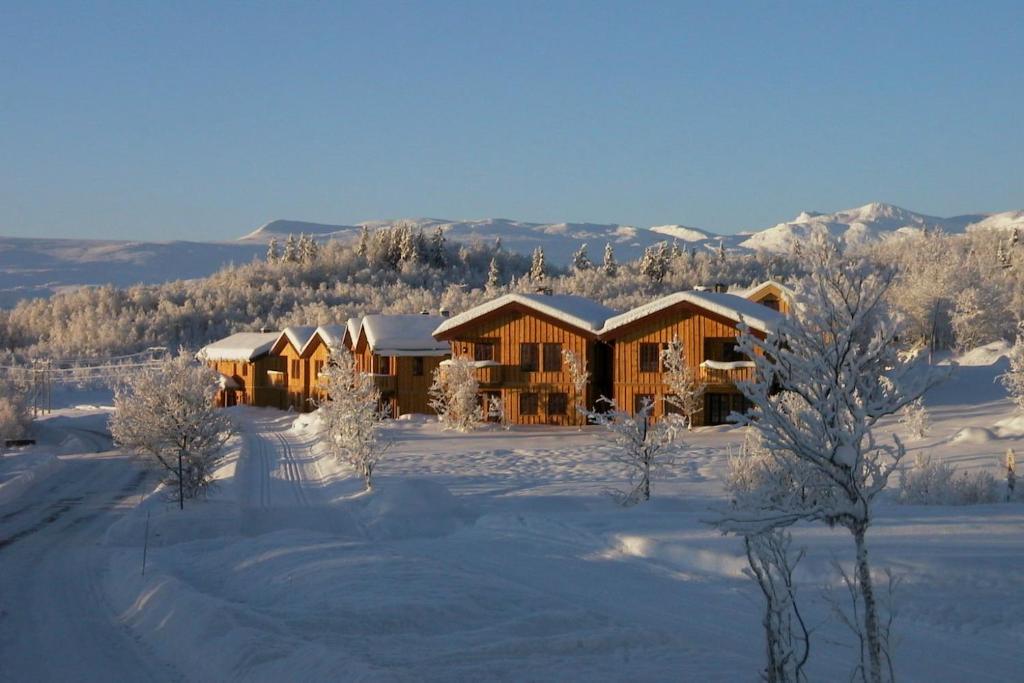 Charming 3-Bedroom Apartment With Great Views!, Beitostøl