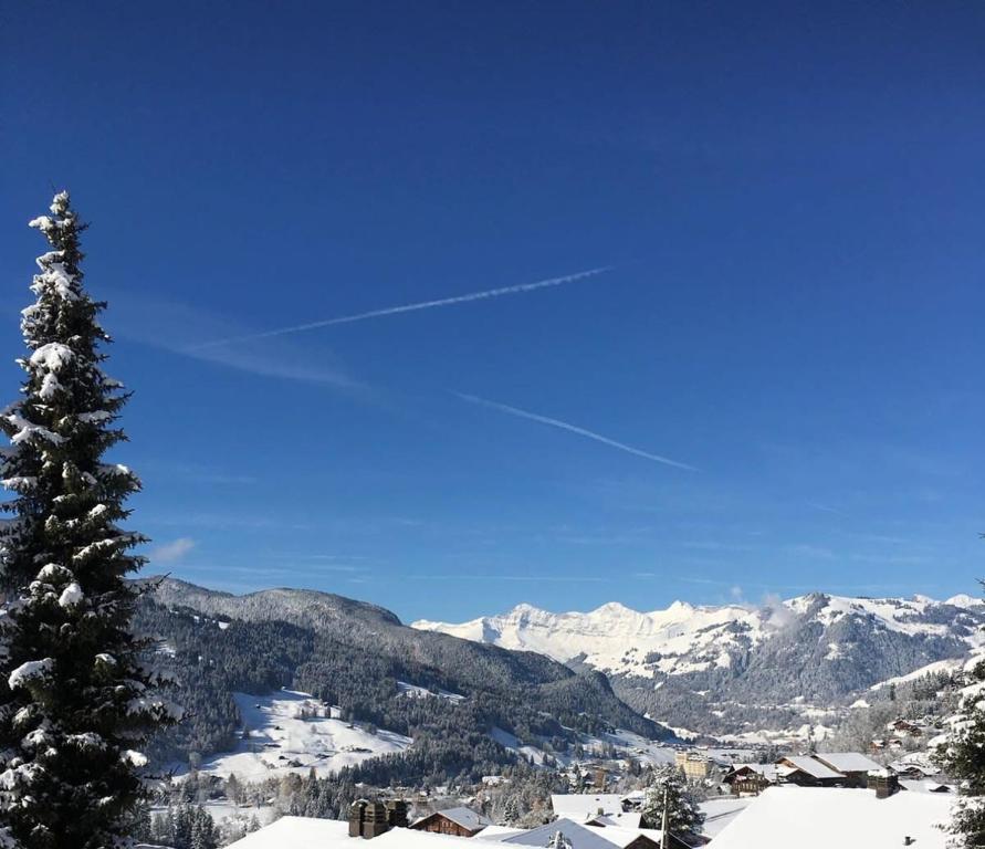 Bright Rays Chalet with Phenomenal Views of the Mountains, Gstaad