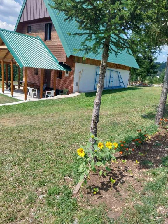 House in forest - 4