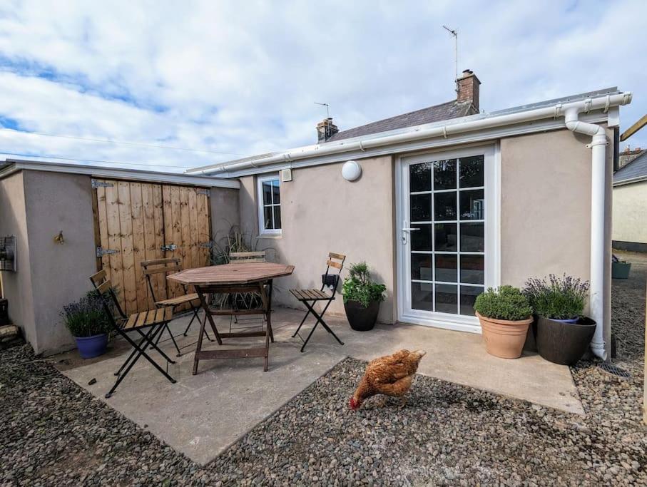 Two bed home 6 minutes from The Giants Causeway!, Lisnagunogue