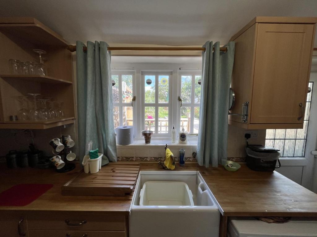 Magnolia Cottage, Wellington photo 5