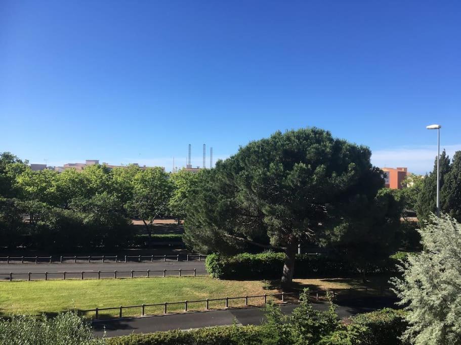 Cap Agde Studio-Cabine -Vue Jardin - 4