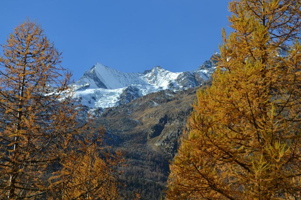 Haus Bergtreu - 5