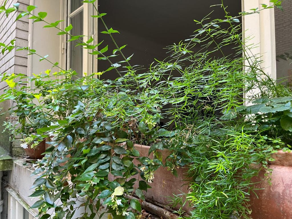 Comme une petite maison - 4