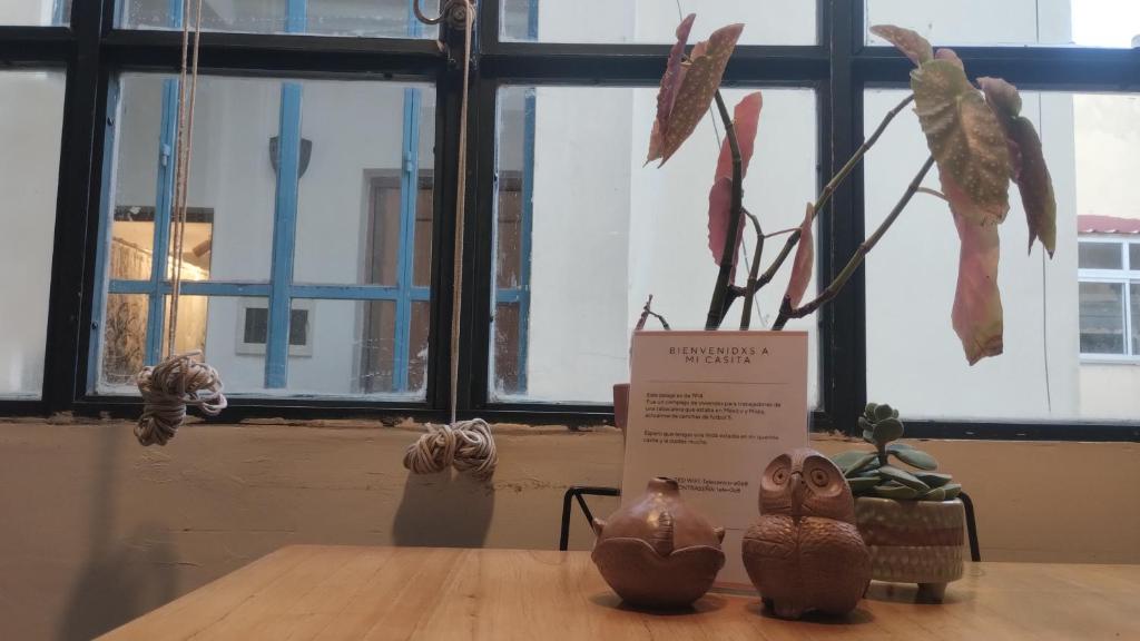 Bonito departamento con exterior y muy bien ubicado - 2