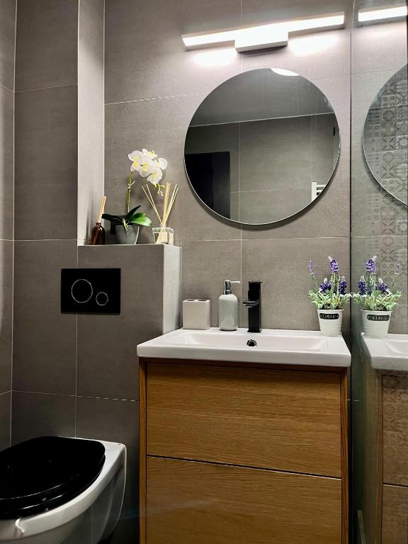 Comfortable Baia Mare Apartment 전경