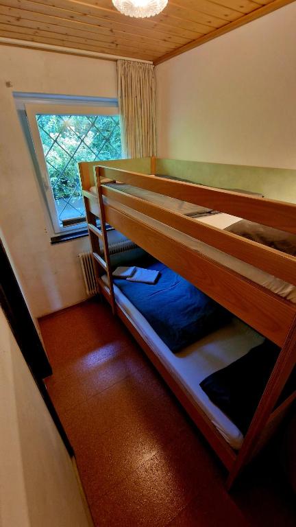 Dachsteinblick - 4