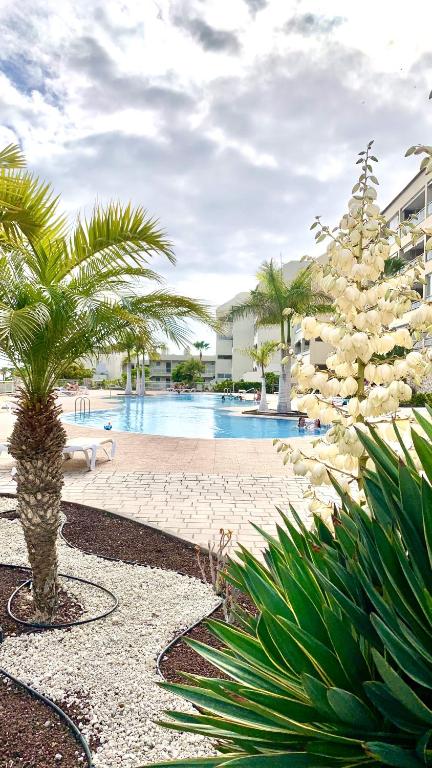 Apartamento Las Palmeritas Palm Mar Tenerife Sur - 1