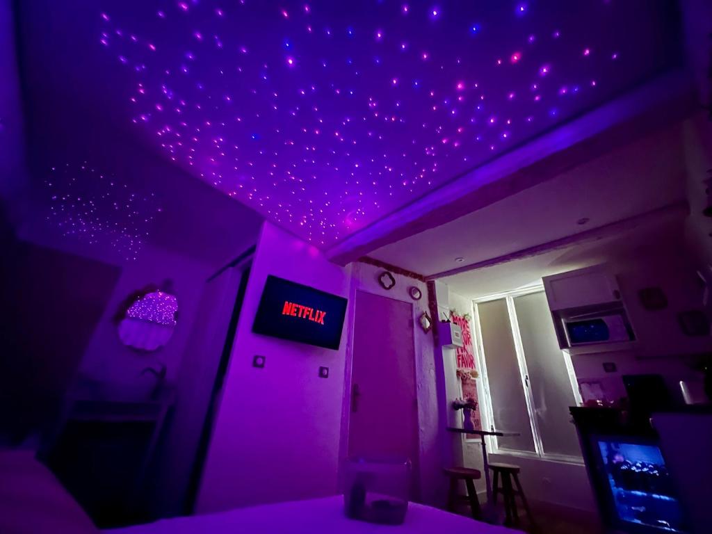 LOVE Room - Balnéo - Ciel Etoilé - Free Wifi - Netflix - Hyper Centre - 3
