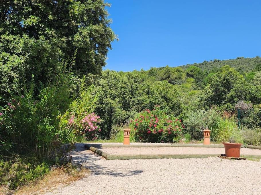 Maison provençale - 2