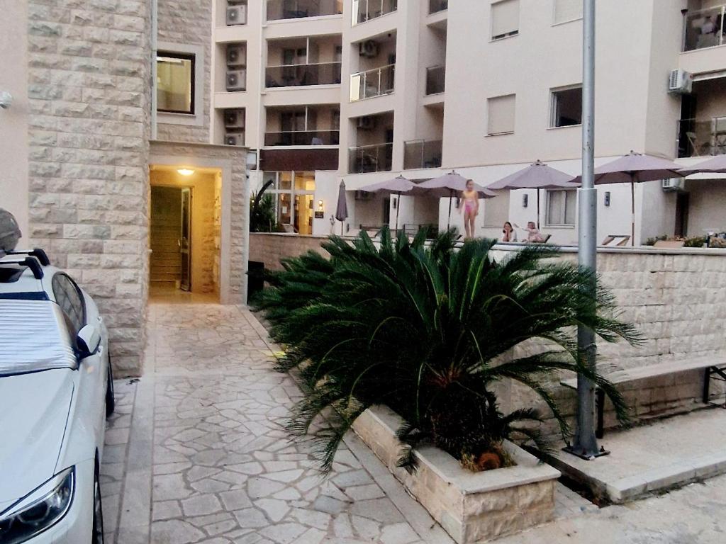 Studio Apartment Ljilja - 4