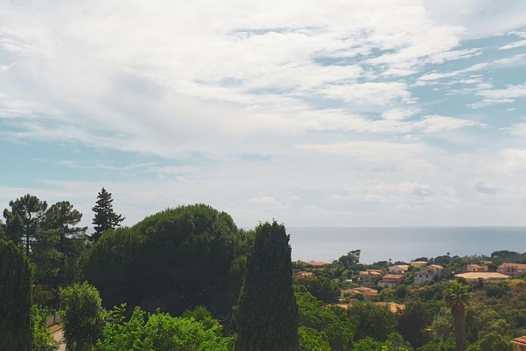 Minavita, Pietrosella