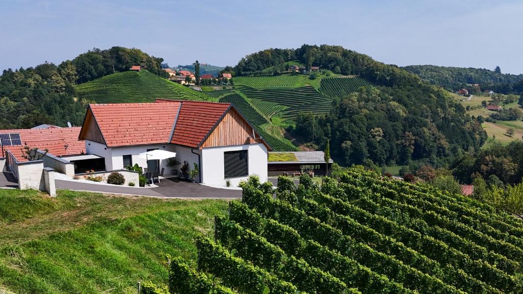 Chalet Sgarz, Kitzeck im Sausal