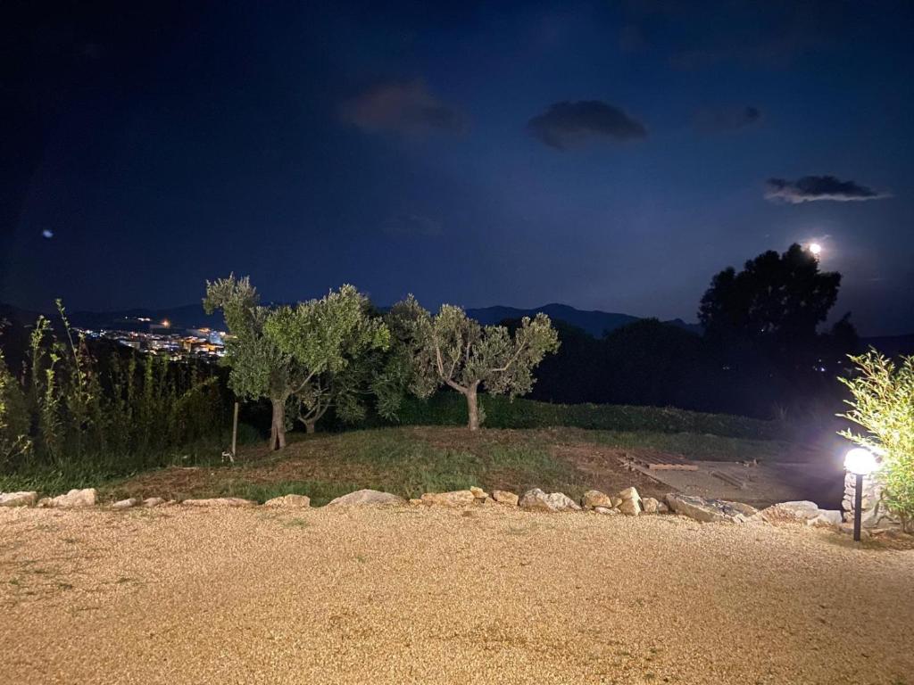 La Pausa - 5