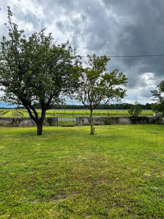 Appartement Escapades cosy au cœur des vignes, Appartement Cézac