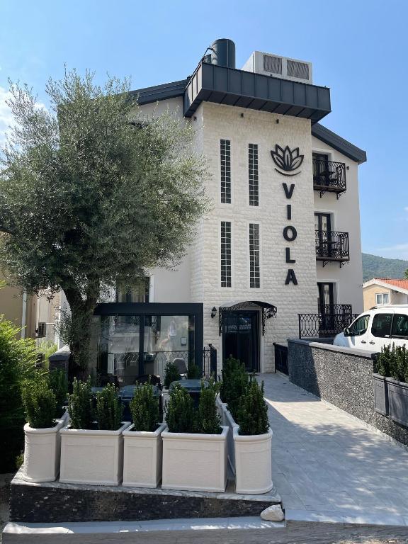 Viola Hotel Budva - 1
