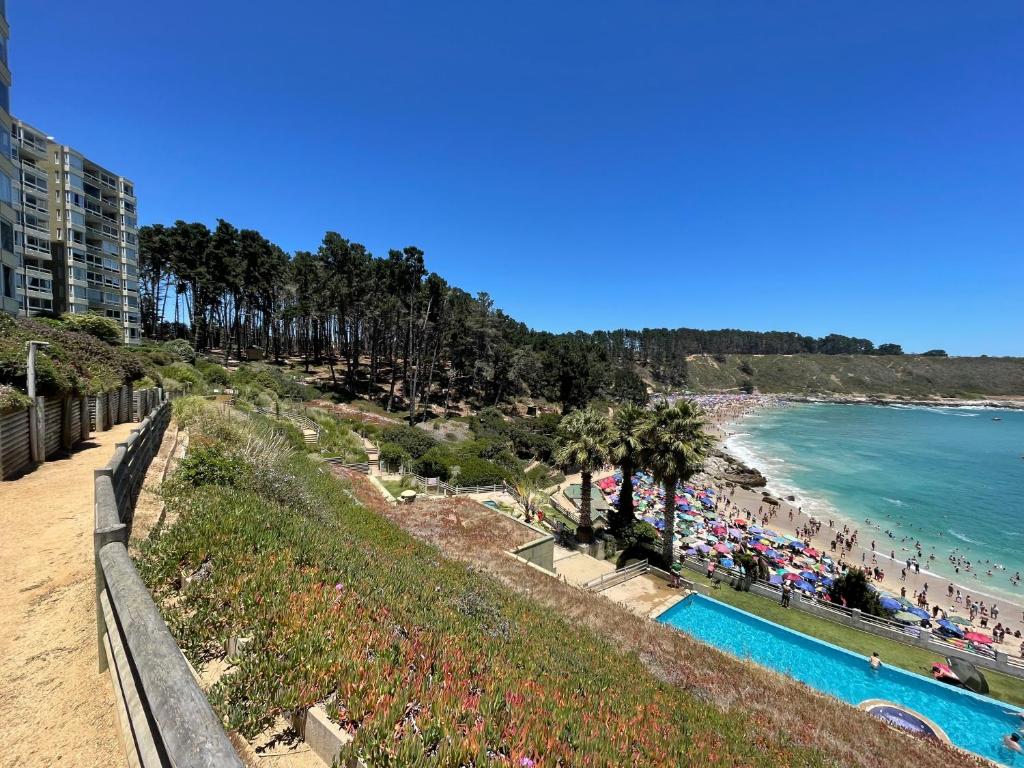 Arriendo vacacional departamento Algarrobo - 5