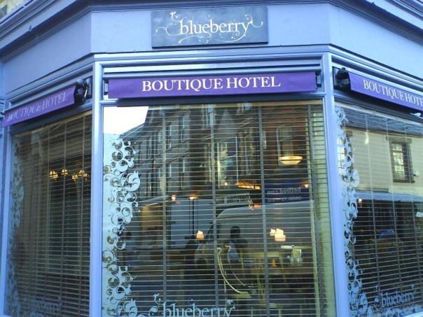 The Blueberry Hotel photo