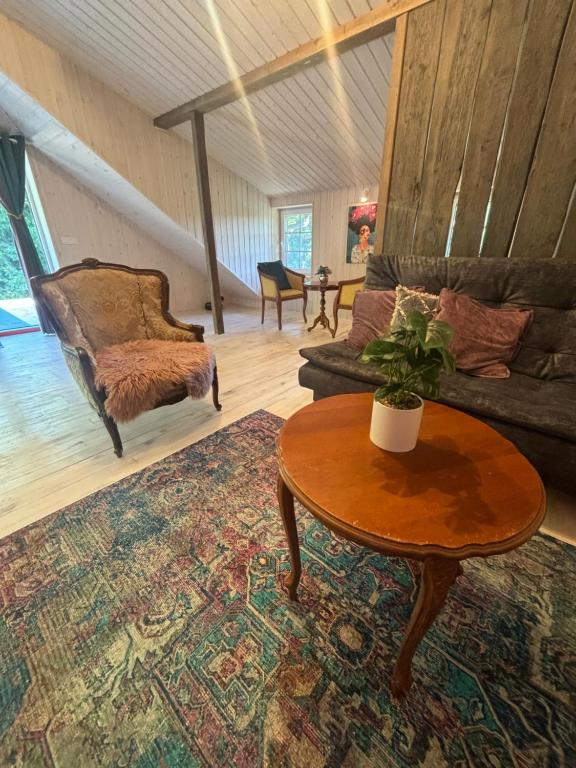 Cozy studio in a horse ranch, Lieplaukė