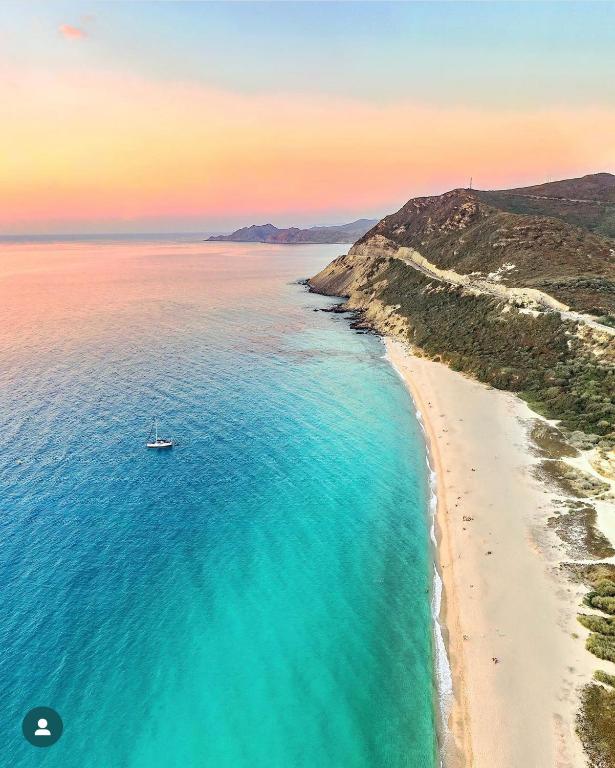 Lozarifamily, Belgodère