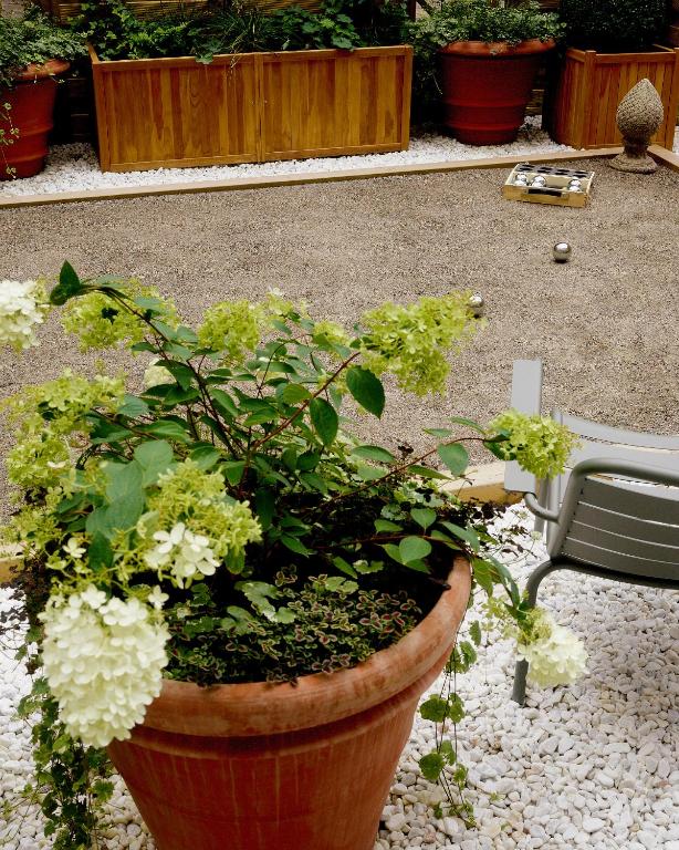 Programlehetőségek