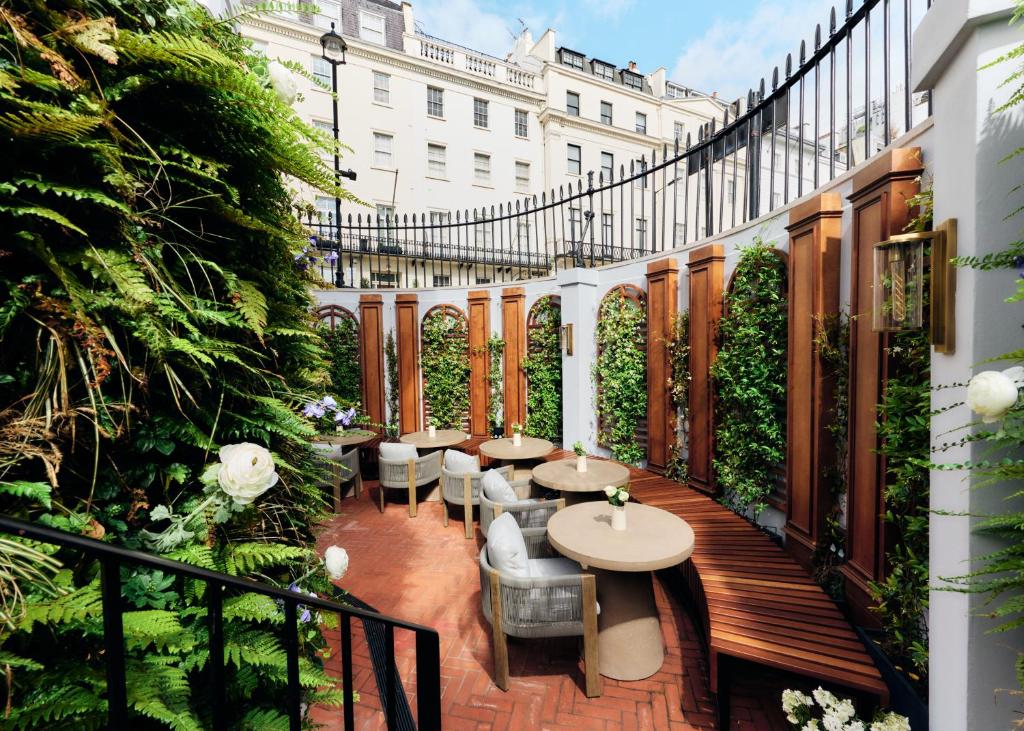 チェシャム ホテル ベルグラヴィア (2 Chesham Hotel Belgravia) レストラン