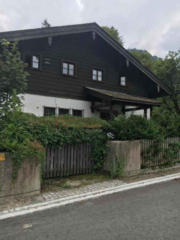 SeelenbaumlerIn - 3