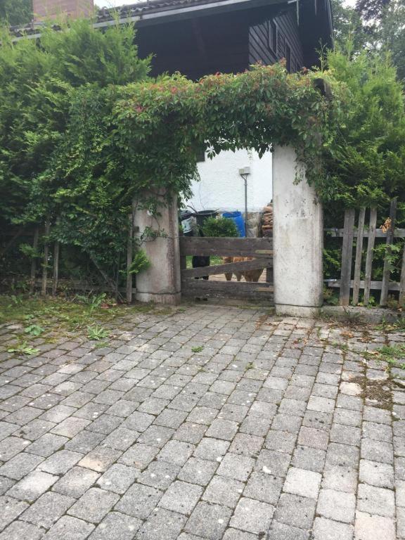 SeelenbaumlerIn - 5