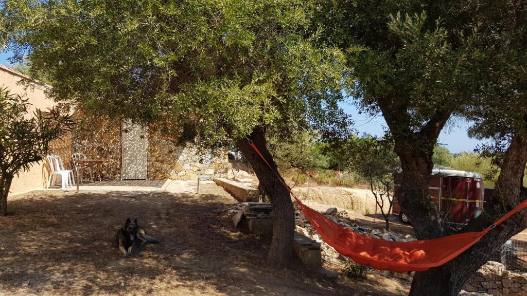 LE PAILLER 2P et 3 enfants sous le tipi - 2