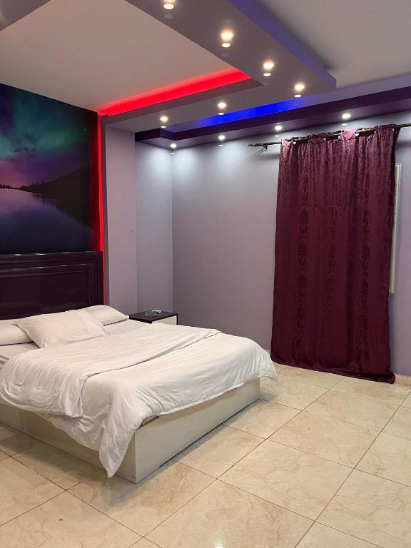 الحى السياحى الاول زايد, Sheikh Zayed